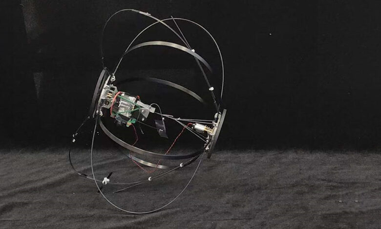 Meet Tumro, a jumping robot inspired by beetles Meet Tumro, a jumping robot inspired by beetles