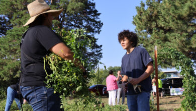 Website creates online market for Indigenous entrepreneurs | Nebraska Today