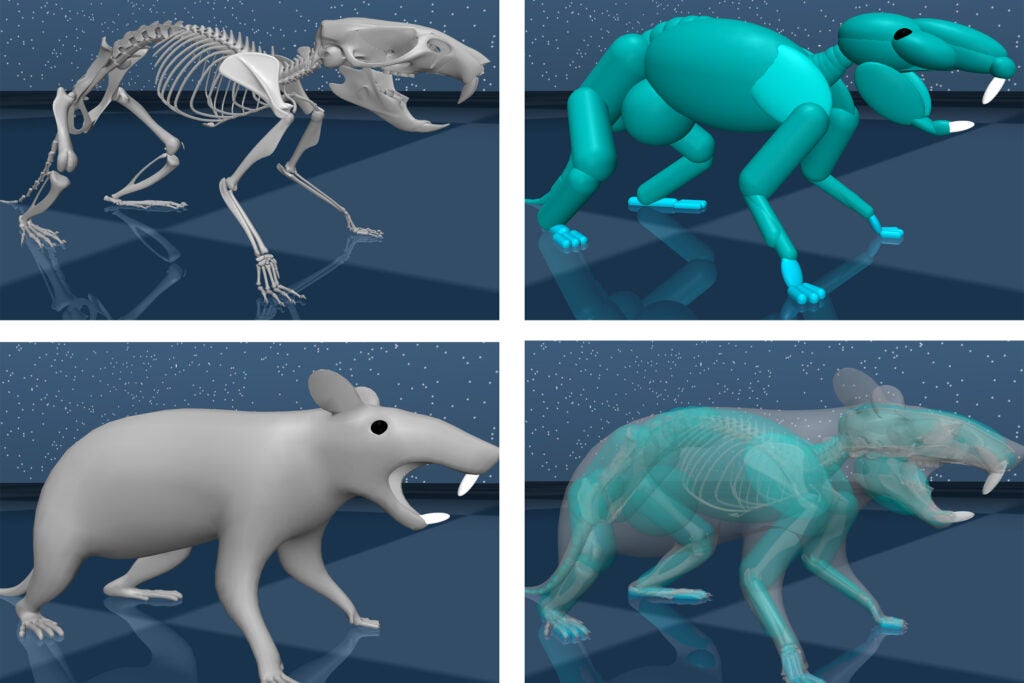 Illustration panels showing a virtual rat using movement data recorded from real rats.