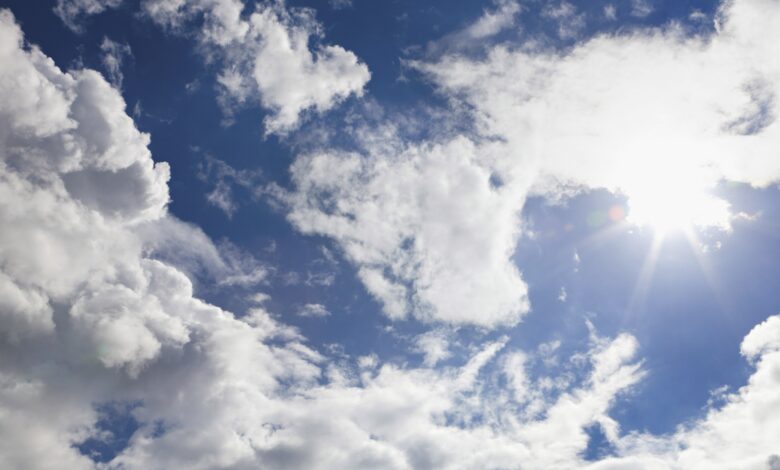 Twinings Ovaltine harnesses RISE with SAP S/4HANA for digital transformation Twinings Ovaltine harnesses RISE with SAP S/4HANA for digital transformation