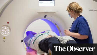 Groundbreaking AI heart attack scans could soon be rolled out across UK | Science