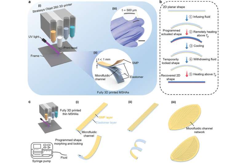 3D-printed mini-actuators can move small soft robots, lock them into new shapes