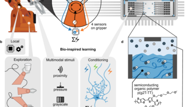 Bio-inspired multimodal learning with organic neuromorphic electronics for behavioral conditioning in robotics