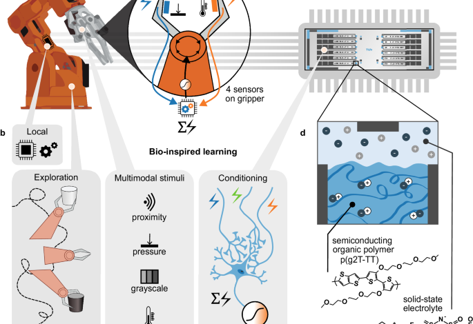 Bio-inspired multimodal learning with organic neuromorphic electronics for behavioral conditioning in robotics Bio-inspired multimodal learning with organic neuromorphic electronics for behavioral conditioning in robotics
