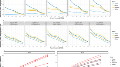 Income and racial disparity in household publicly available electric vehicle infrastructure accessibility