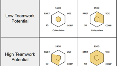 Individual and team profiling to support theory of mind in artificial social intelligence