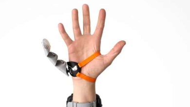 Scientists develop robotic ‘third thumb’ that can greatly boost human efficiency