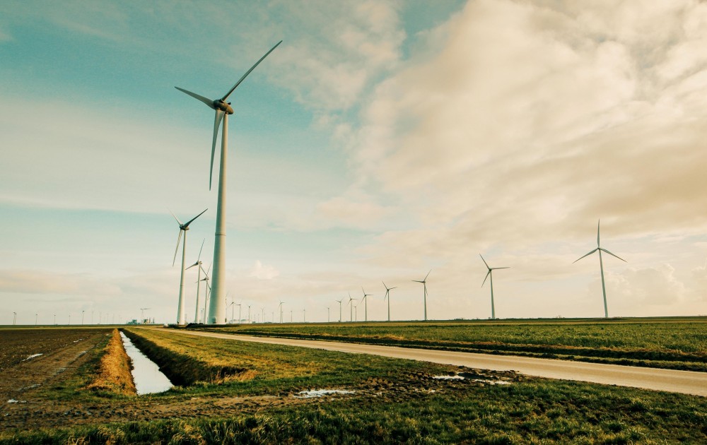 Government Aims to Develop a European-level Action Plan for Green Transition