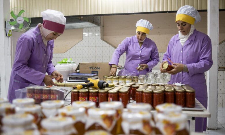 UNDP launches mentoring programme to support women and youth entrepreneurship UNDP launches mentoring programme to support women and youth entrepreneurship