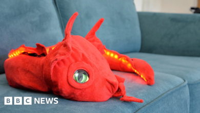 Aberystwyth University’s robotic dragon to help with loneliness