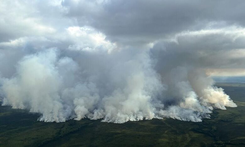 Fire & algorithm: Predicting fire weather with artificial intelligence | Sundays Fire & algorithm: Predicting fire weather with artificial intelligence | Sundays