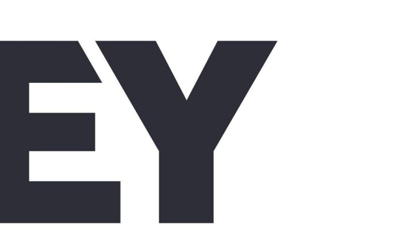 Unleashing Business Potential with the EY Entrepreneurs Access Network: Now Open for 2025 Applications | African American News