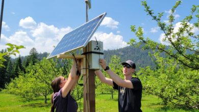 U of I Researchers get 0K Grant to Research use of Artificial Intelligence in Crop Production | Idaho