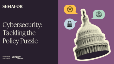 Cybersecurity: Tackling the Policy Puzzle