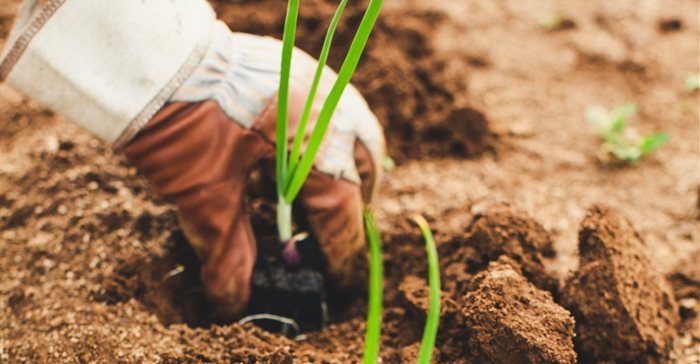 Call for applications: Metropolitan youth agri-entrepreneur initiative Call for applications: Metropolitan youth agri-entrepreneur initiative