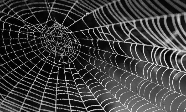 UIX: A Full Stack Web Dev Framework Leveraging Deno UIX: A Full Stack Web Dev Framework Leveraging Deno