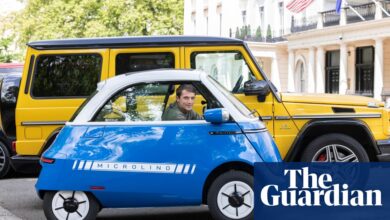 ‘Yes, Lego car!’: why small electric cars could be about to break the grip of SUVs | Automotive industry