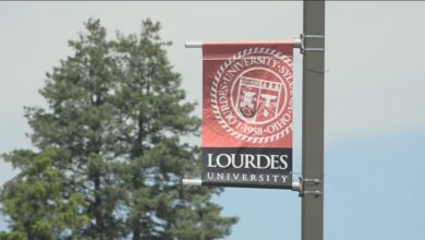 Local university offering AI courses starting in the fall