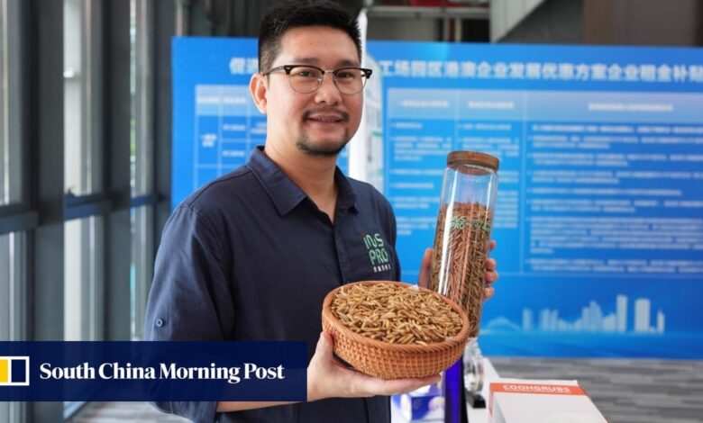 Why 2 Hong Kong entrepreneurs decided to move their start-ups over mainland China border Why 2 Hong Kong entrepreneurs decided to move their start-ups over mainland China border