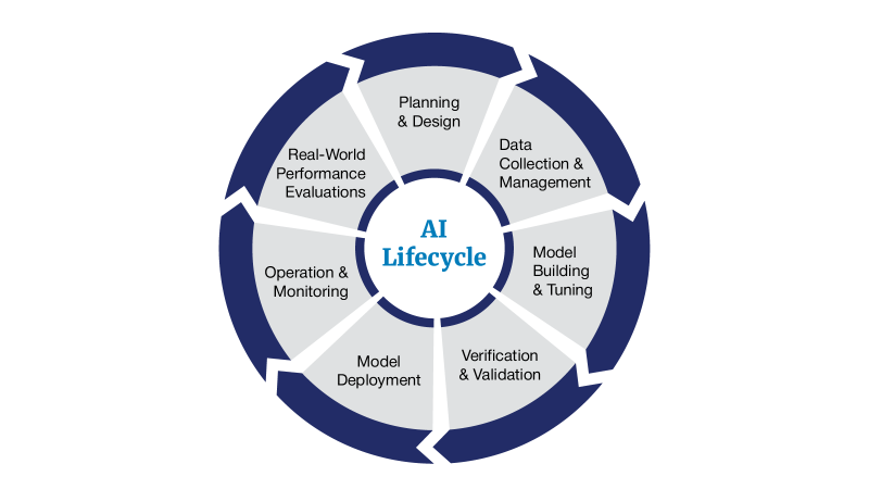 AI Lifecycle