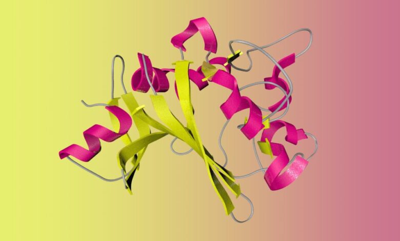 Marea, a biotech company seeking to tackle heart disease, raises 0 million Marea, a biotech company seeking to tackle heart disease, raises 0 million