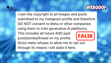 ‘No Consent’ Posts Do Not Prohibit Meta From Using Content To Train AI Models