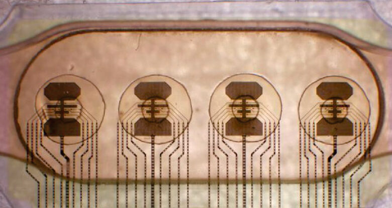 Swiss Startup Connects 16 Human Mini-Brains to Create Low Energy ‘Biocomputer’ : ScienceAlert Swiss Startup Connects 16 Human Mini-Brains to Create Low Energy ‘Biocomputer’ : ScienceAlert