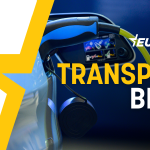 EU transport policy at the ballot box