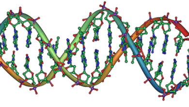 A new machine-learning model achieved higher diagnostic accuracy on Mendelian disorders than existing bioinformatic tools