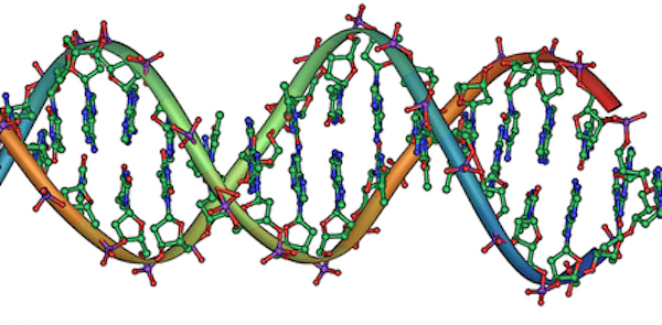 A new machine-learning model achieved higher diagnostic accuracy on Mendelian disorders than existing bioinformatic tools A new machine-learning model achieved higher diagnostic accuracy on Mendelian disorders than existing bioinformatic tools