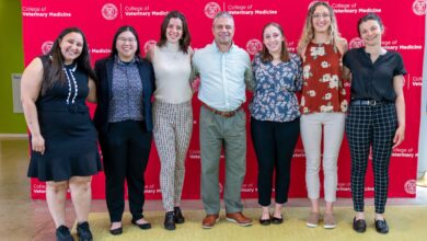 Cornell’s Veterinary Business and Entrepreneurship Center Celebrates First Graduates of Certificate Program