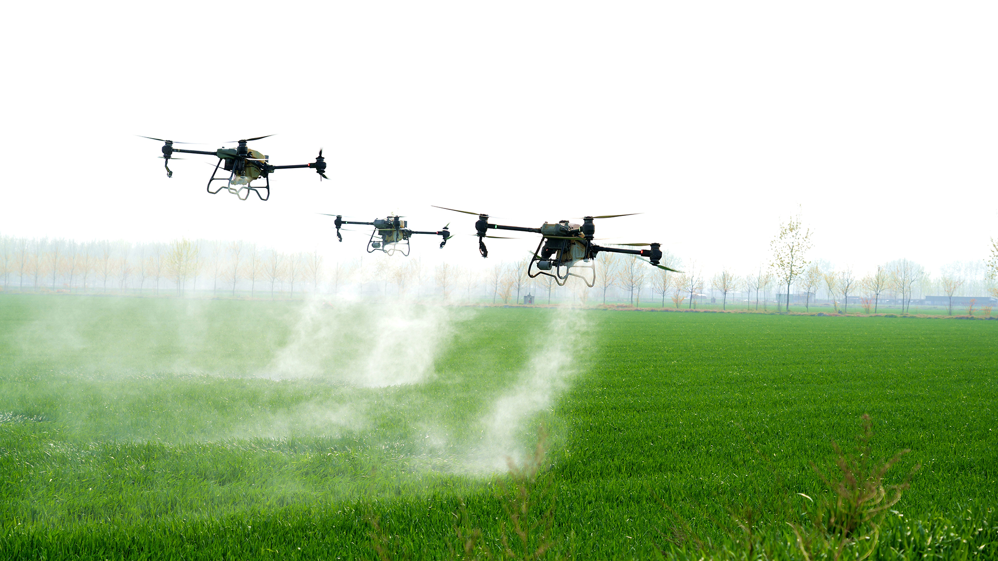 Three unmanned plant protection machines fertilising a field in Suqian, Jiangsu Province, China