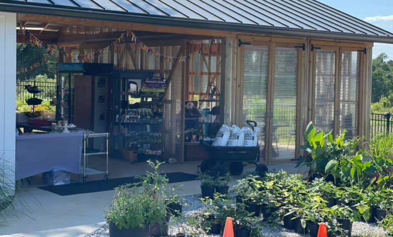 Four Upstate businesses receive SC Department of Agriculture grants Four Upstate businesses receive SC Department of Agriculture grants
