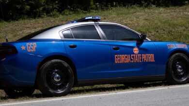 A man struck by automobile in median seriously injured on I-985