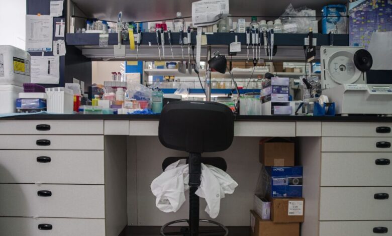 How the BIOSECURE Act is already affecting U.S., Chinese life science firms How the BIOSECURE Act is already affecting U.S., Chinese life science firms