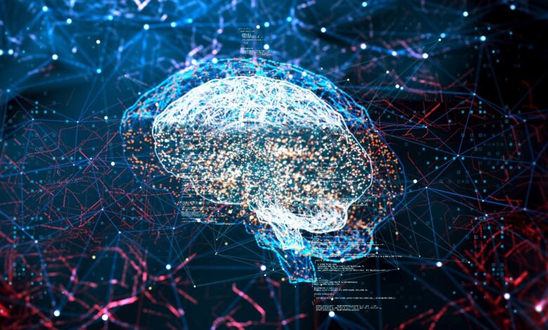 Stanford AI Mirrors Brain Organization Stanford AI Mirrors Brain Organization