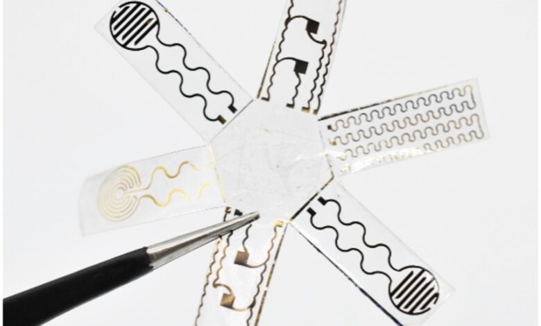 Daily clinical news – Soft Robots with Electronic Skins and Artificial Muscles to Provide Medical Treatment – Critical Care Daily clinical news – Soft Robots with Electronic Skins and Artificial Muscles to Provide Medical Treatment – Critical Care