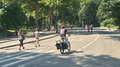 NYC Parks Electric-Vehicles Pilot Program Quietly Extended Through 2025; Includes Central and Riverside Parks