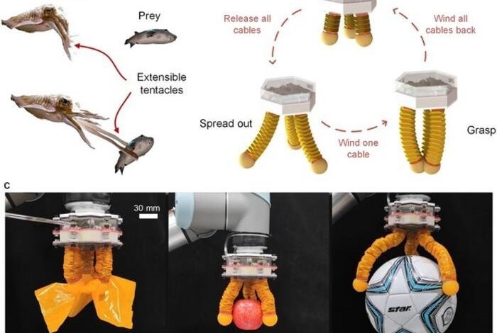 Hybrid-Driven Gripper Redefines Object Handling Hybrid-Driven Gripper Redefines Object Handling
