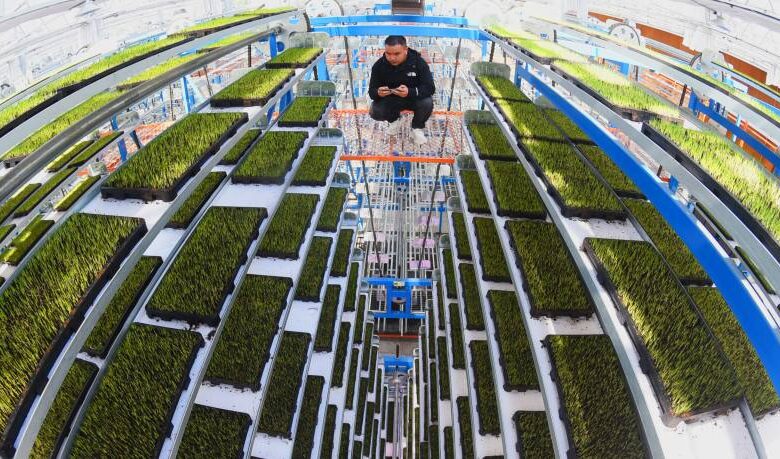 Agriculture is fast becoming a growth market for fintech Agriculture is fast becoming a growth market for fintech