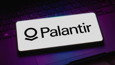 Palantir Is The ‘Messi’ Of Artificial Intelligence, Says Dan Ives: ‘Most Underestimated AI Play’