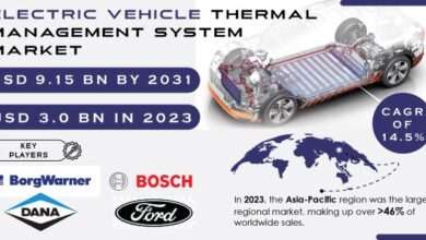 Electric Vehicle Thermal Management System Market Heats Up,