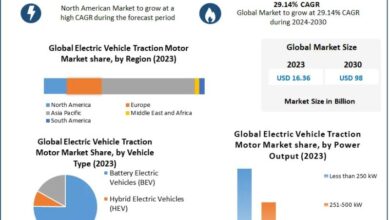 Electric Vehicle Traction Motor Market Future Growth,