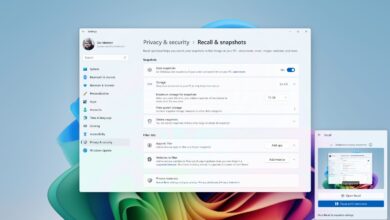 Windows Recall Will ‘Set Cybersecurity Back a Decade’