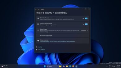 Windows 11 24H2 adds new privacy settings to manage AI features