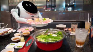 Nuwa and Navia to offer AI robotic solutions for restaurants