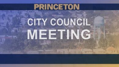 Princeton City Council adds cybersecurity insurance to city policy