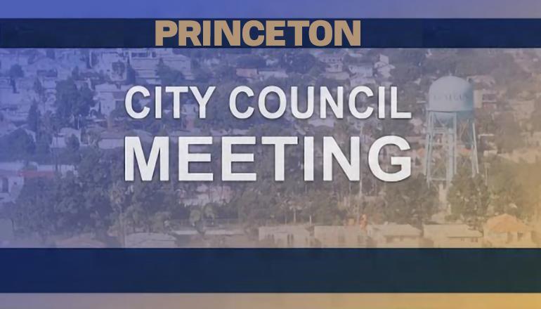 Princeton City Council adds cybersecurity insurance to city policy Princeton City Council adds cybersecurity insurance to city policy