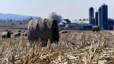 EV burden too much for farmers.