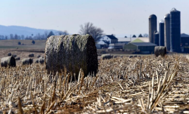 EV burden too much for farmers. EV burden too much for farmers.